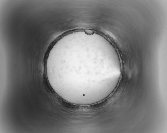 X0000096461267200802141525