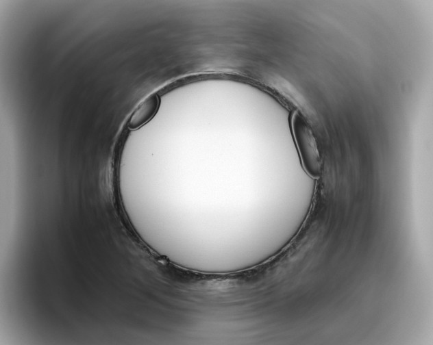 X0000096461268200802141525