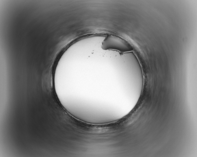 X0000096461269200802141525