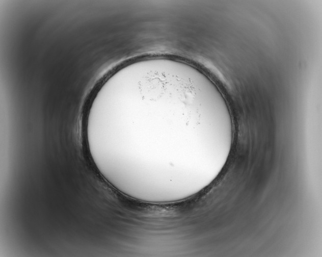 X0000096461270200802141525