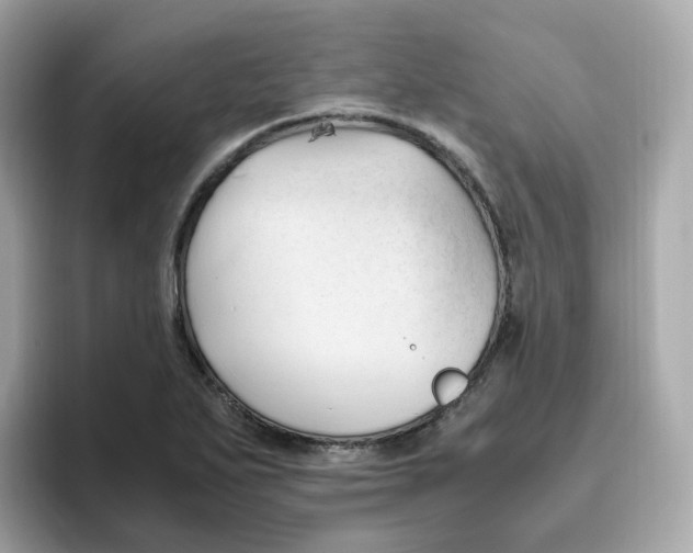 X0000096461271200802141525