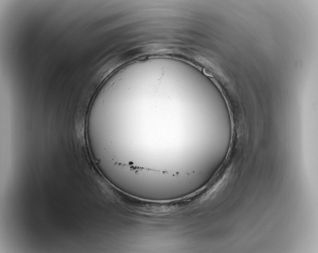 X0000096461273200802141525