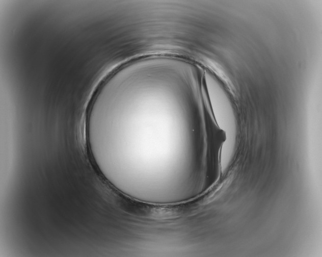 X0000096461275200802141525