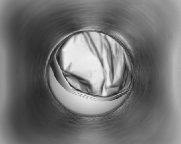 X0000096461276200802141525