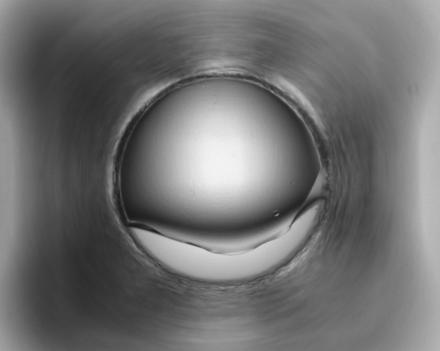 X0000096461277200802141525