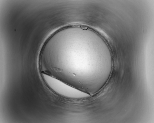 X0000096461279200802141525