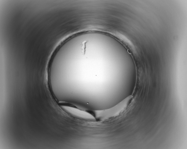 X0000096461280200802141525