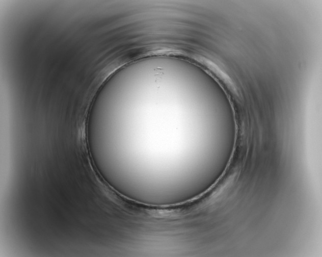 X0000096461281200802141525