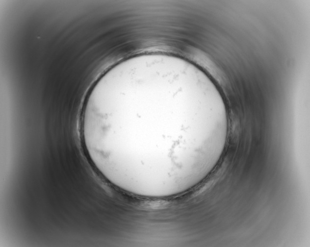 X0000096461282200802141525
