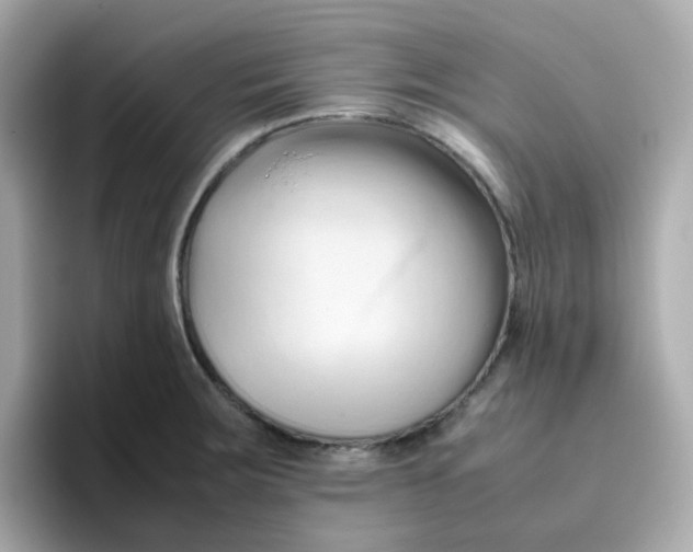 X0000096461283200802141525