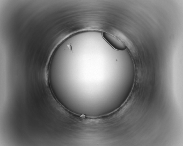 X0000096461284200802141525
