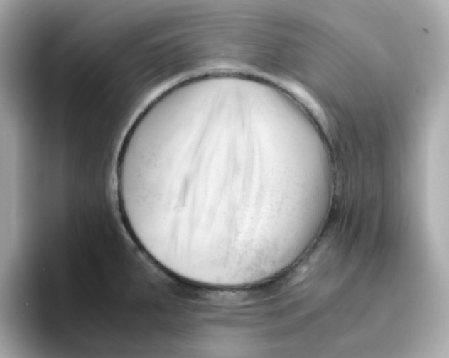 X0000096461287200802141525