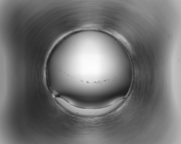 X0000096461288200802141525