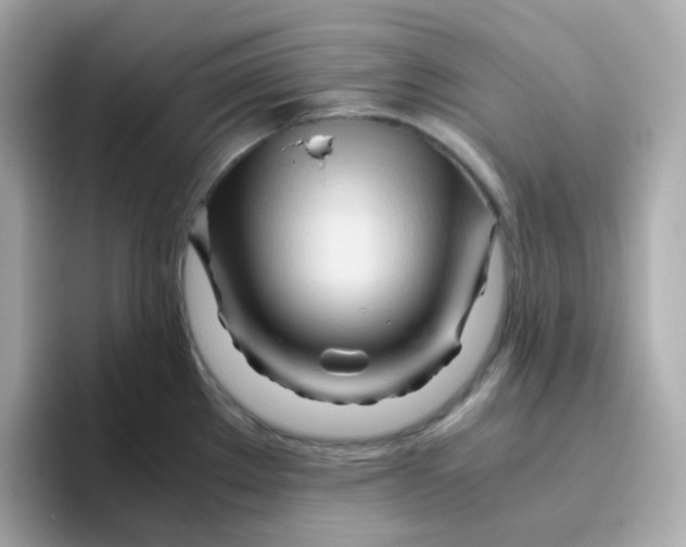 X0000096461289200802141525