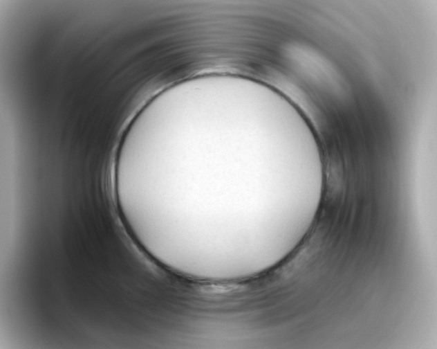 X0000096461290200802141525