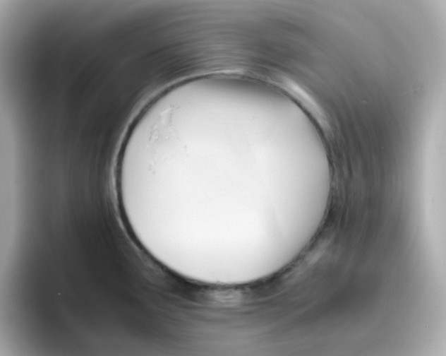 X0000096461291200802141525