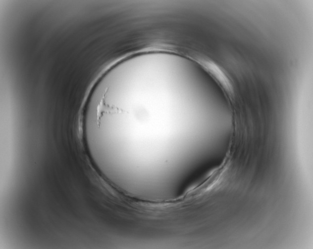 X0000096461292200802141525