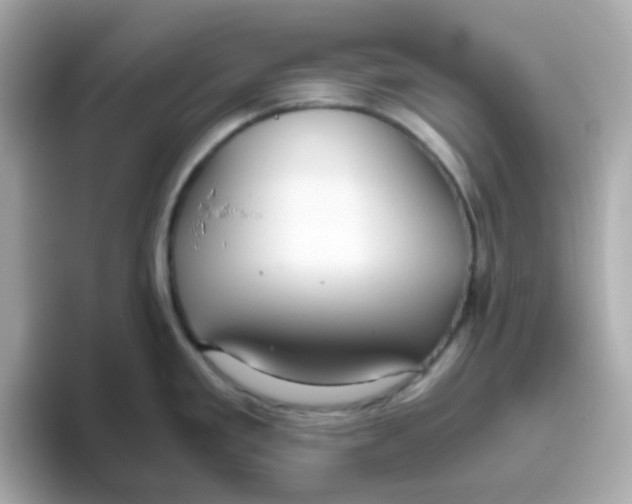 X0000096461293200802141525
