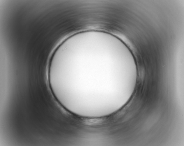 X0000096461294200802141525