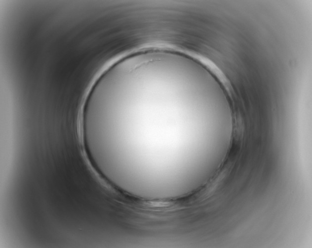 X0000096461295200802141525
