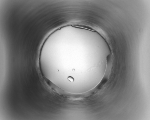 X0000096461296200802141524