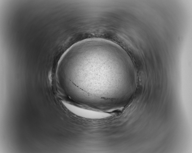 X0000096461298200802141524