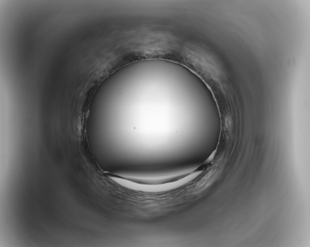 X0000096461300200802141524
