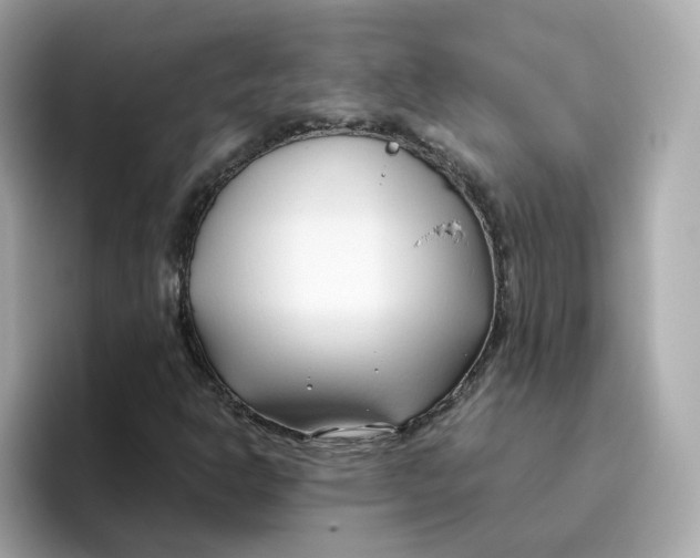 X0000096461302200802141524