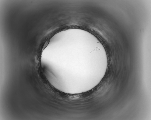 X0000096461303200802141524