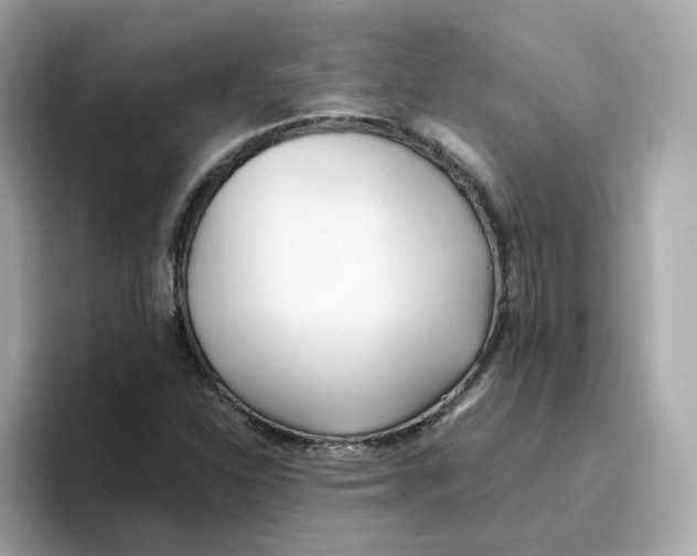 X0000096461310200802141524