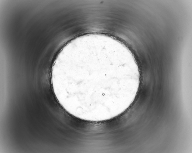 X0000096461314200802141524