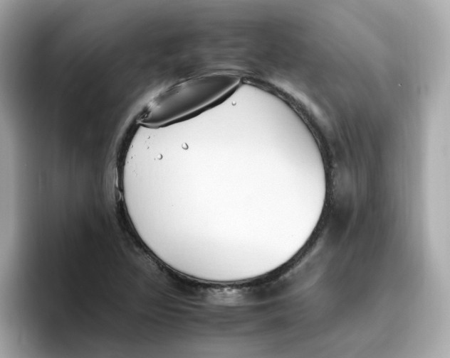 X0000096461317200802141524