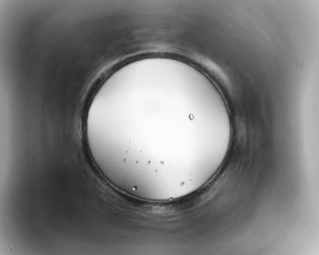 X0000096461318200802141524
