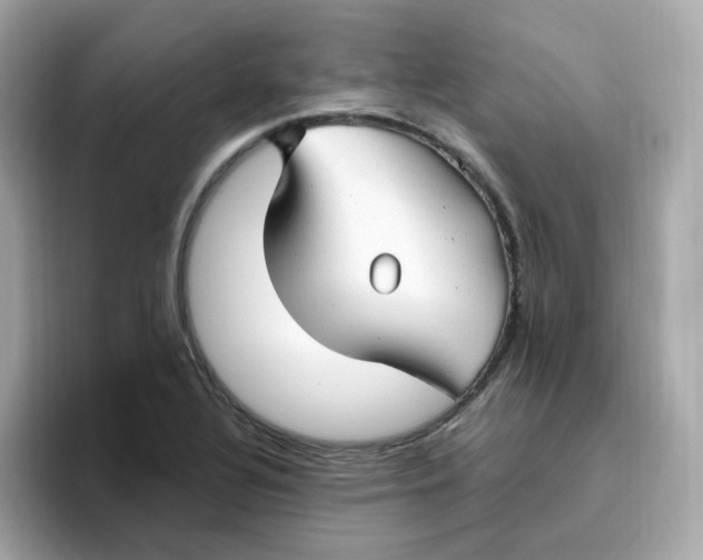 X0000096461320200802141524