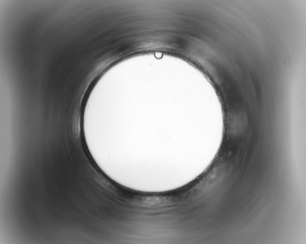 X0000096461322200802141524