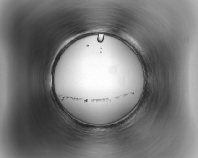 X0000096461324200802141524