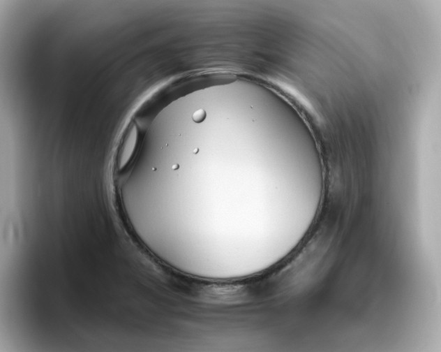 X0000096461325200802141524