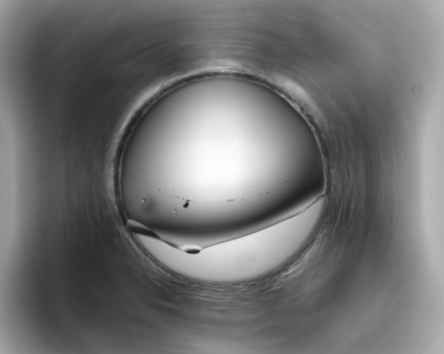 X0000096461326200802141524
