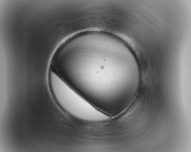 X0000096461327200802141524