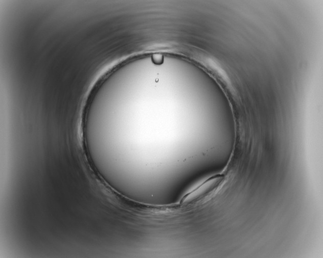 X0000096461328200802141524