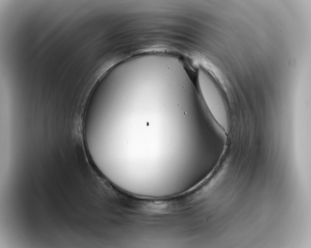 X0000096461329200802141524