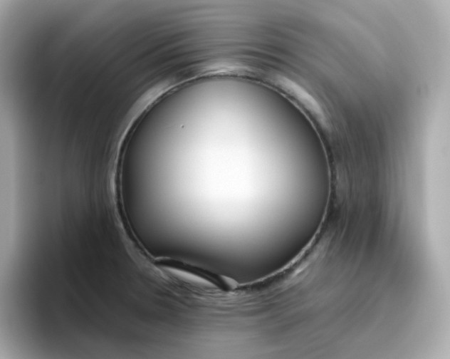 X0000096461330200802141524