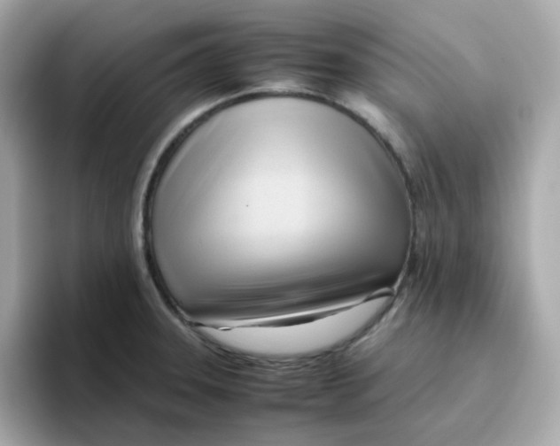 X0000096461331200802141524