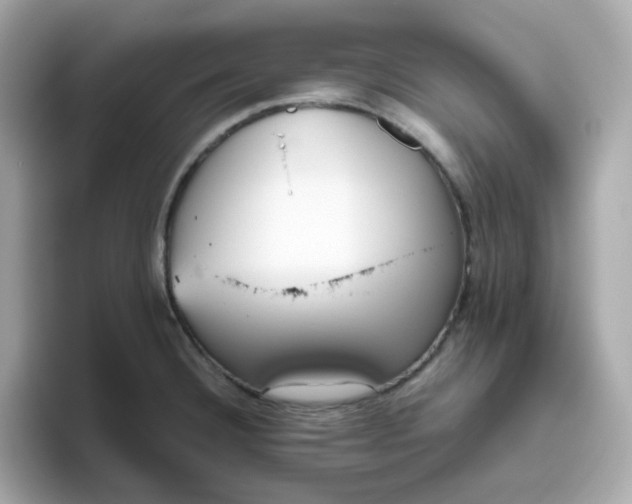 X0000096461332200802141524