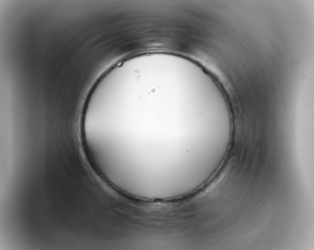 X0000096461333200802141524