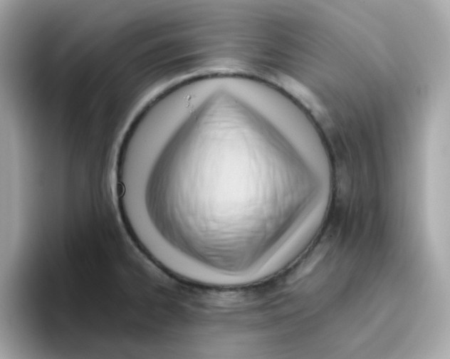X0000096461334200802141524