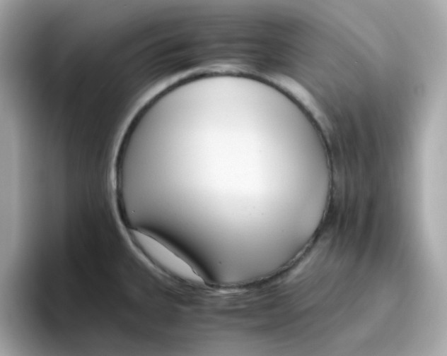 X0000096461335200802141524