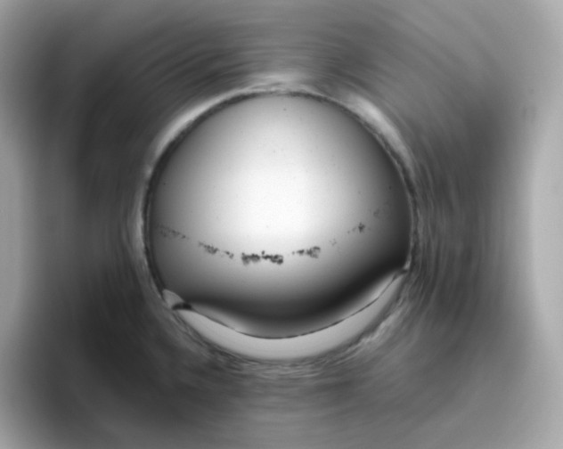 X0000096461336200802141524