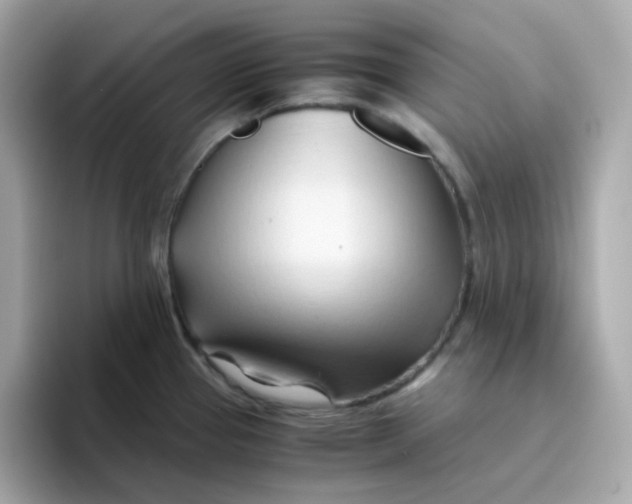 X0000096461337200802141524