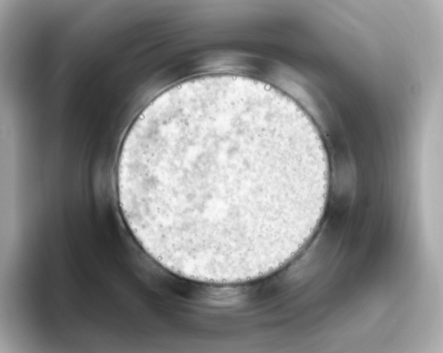 X0000096461338200802141524